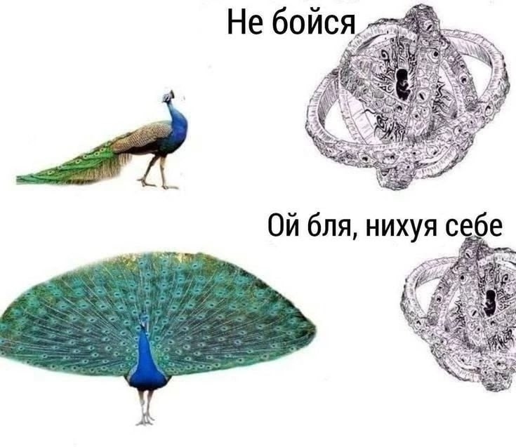 Не У к. Pee a Is) Зах бля, нихуя себ all я