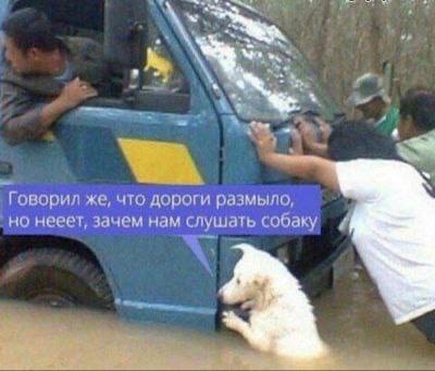Говорил же, что дороги размыло, нееет, зачем нам слушать собаку
