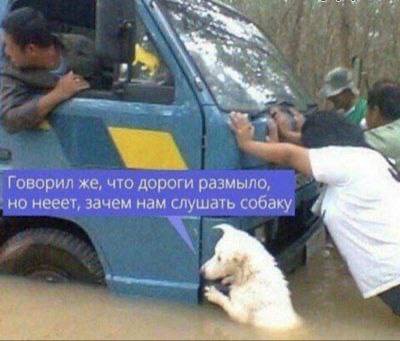 Говорил же, что дороги размыло, нееет, зачем нам слушать собаку