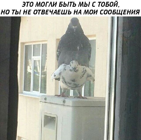 ЭТО МОГЛИ БЫТЬ МЫ С ТОБОЙ, НО ТЫ НЕ ОТВЕЧАЕШЬ НА МОИ СООБЩЕНИЯ 2