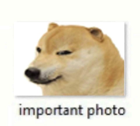 important photo