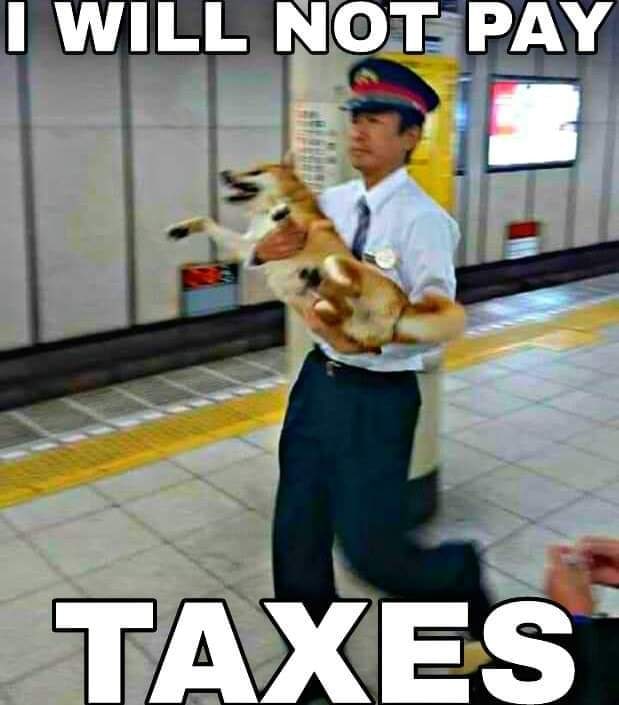 WILL МОТ PAY TAXES