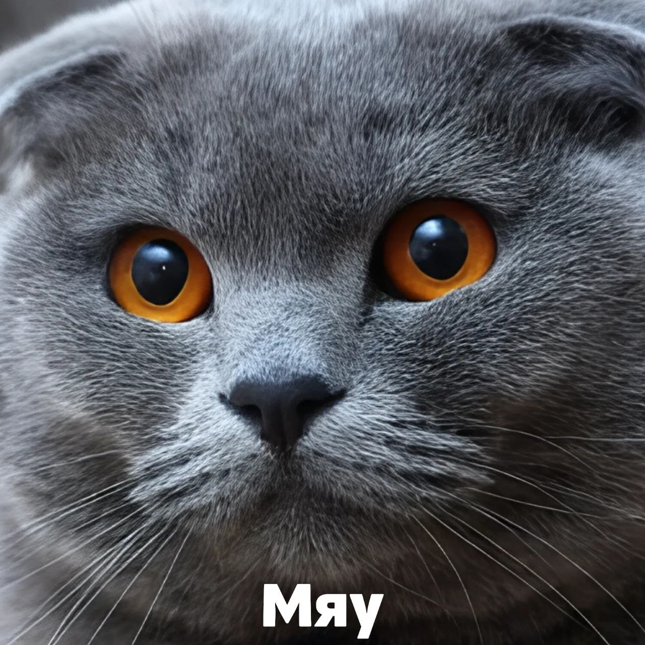 May