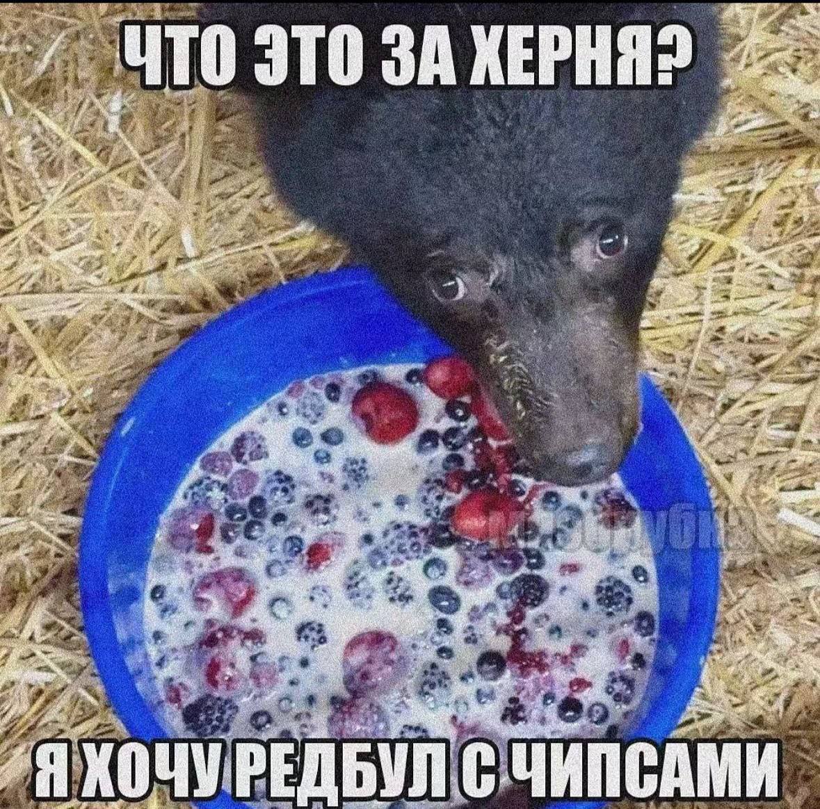 ЧТО ЭТО ЗА ХЕРНЯ? a of Я i Я KOU