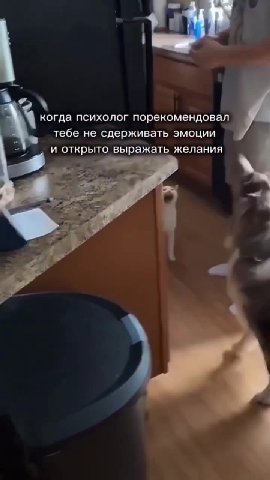 Crs Ulead порекомендовал и К Тебе не сдерживать эмоции | a! открыто выражать желания < когда психолоыркомендовао Г. когда психолог порекомендовал когда психолоппорекомендовал