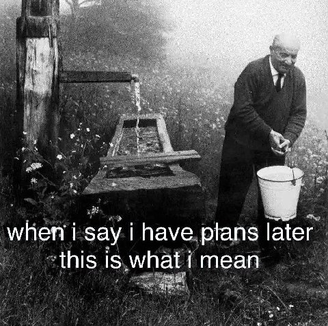 when i say i have plans later 1 теап is what