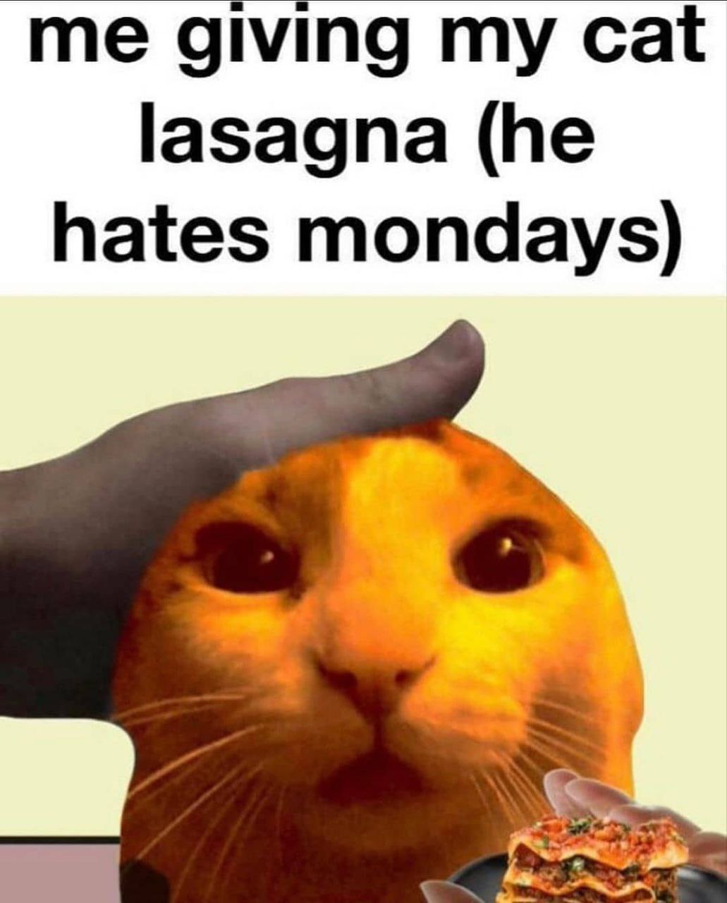 me giving my cat lasagna (he hates mondays)