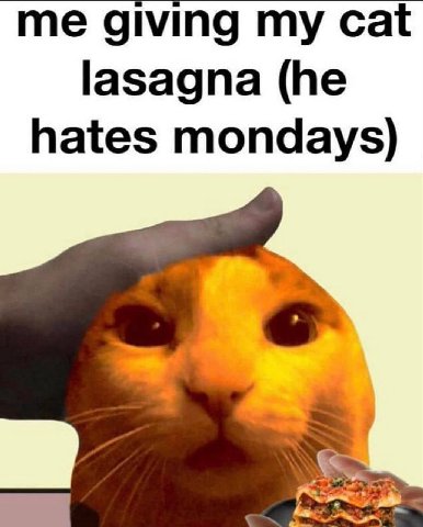 me giving my cat lasagna (he hates mondays)