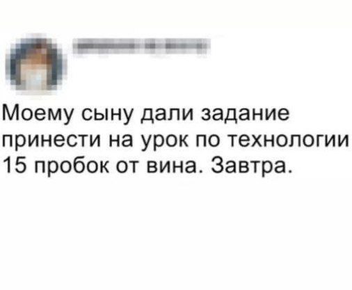 Моему сыну дали задание принести на урок по технологии 15 пробок от вина. Завтра.