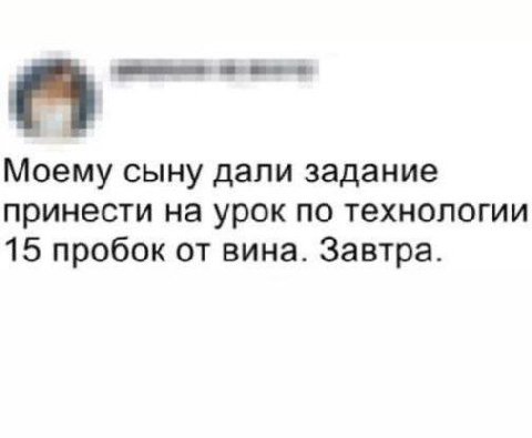 Моему сыну дали задание принести на урок по технологии 15 пробок от вина. Завтра.