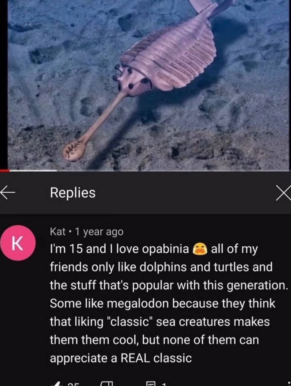 к. 5 Replies Kat 1 year ago 15 and love opabinia all of my friends only like dolphins and turtles and the stuff that's popular with this generation Some like megalodon because they think that liking "