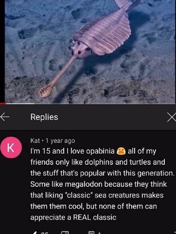 к. 5 Replies Kat 1 year ago 15 and love opabinia all of my friends only like dolphins and turtles and the stuff that's popular with this generation Some like megalodon because they think that liking "