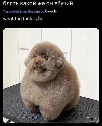 6 лять какой же он ебучий Translated inslated from Russian Google what the fuck is he a 2% У у 1