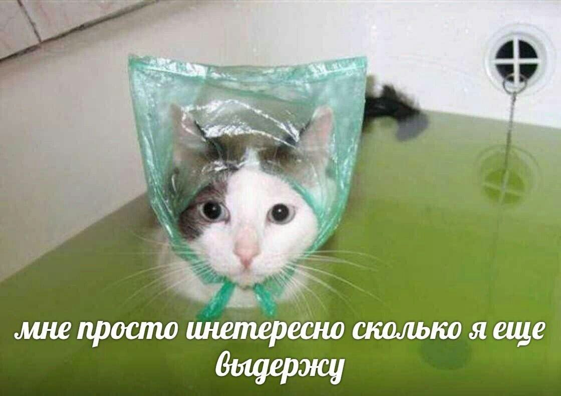 ‚ине просто инетересно сколько я еще