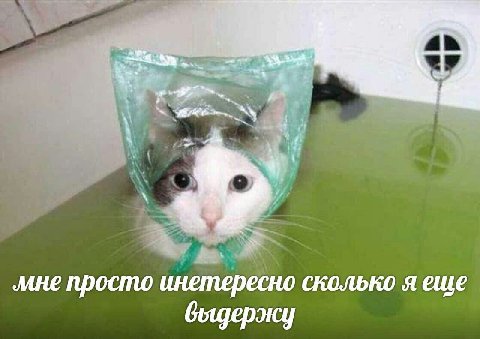 ‚ине просто инетересно сколько я еще