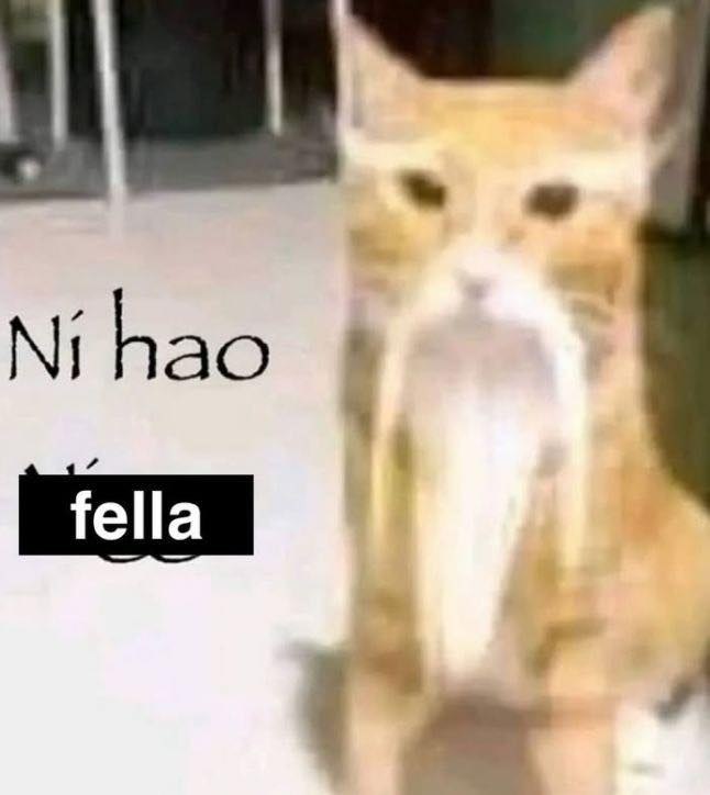hao fella