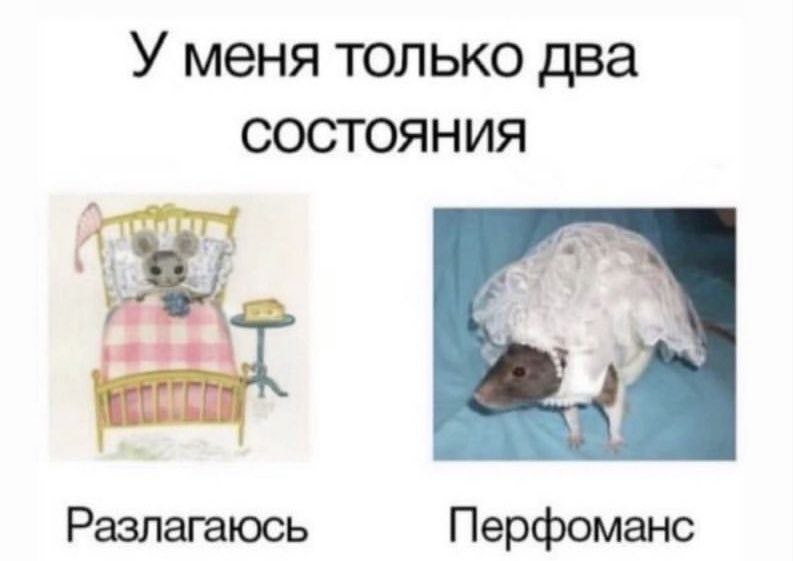 У меня только два СОСТОЯНИЯ Разлагаюсь Перфоманс