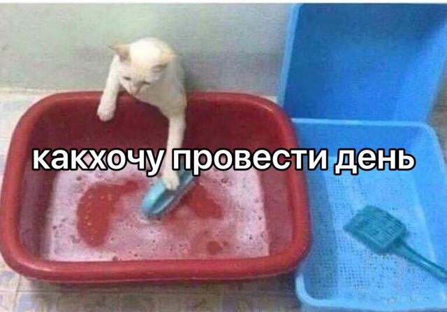 какхочу[провести день
