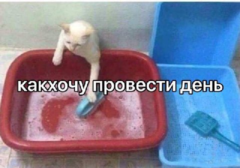 какхочу[провести день