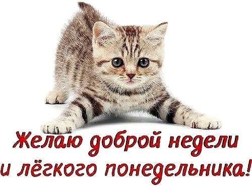 „К елаю доброй недели и лёгкого