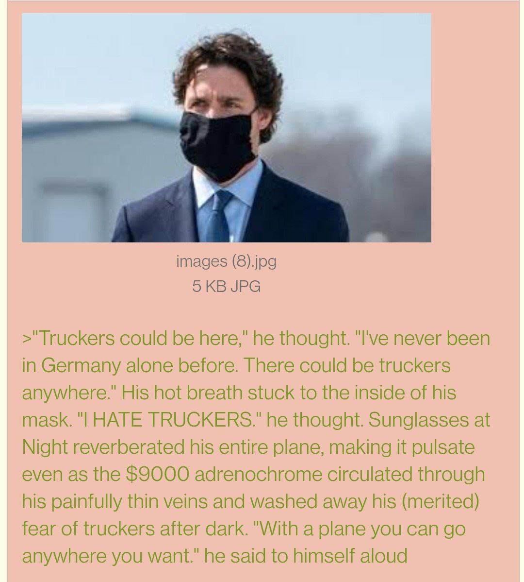 7 images (8).jpg 5 JPG >"Truckers could be here,” he thought. "I've never been in Germany alone before. There could be truckers anywhere." His hot breath stuck to the inside of his mask. HATE TRUCKERS