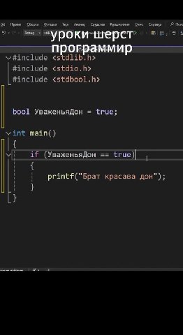 Goer Сера Фишка Test Ака Сота Pacumpenn бою Сша Non #include <stdio.h> #include <stdbool.h> | bool Увёженьядон = true; В | printf("Bpat красава дон"); = Debug > *уроки-шерет” Bo. t У! if (УваженьяДон