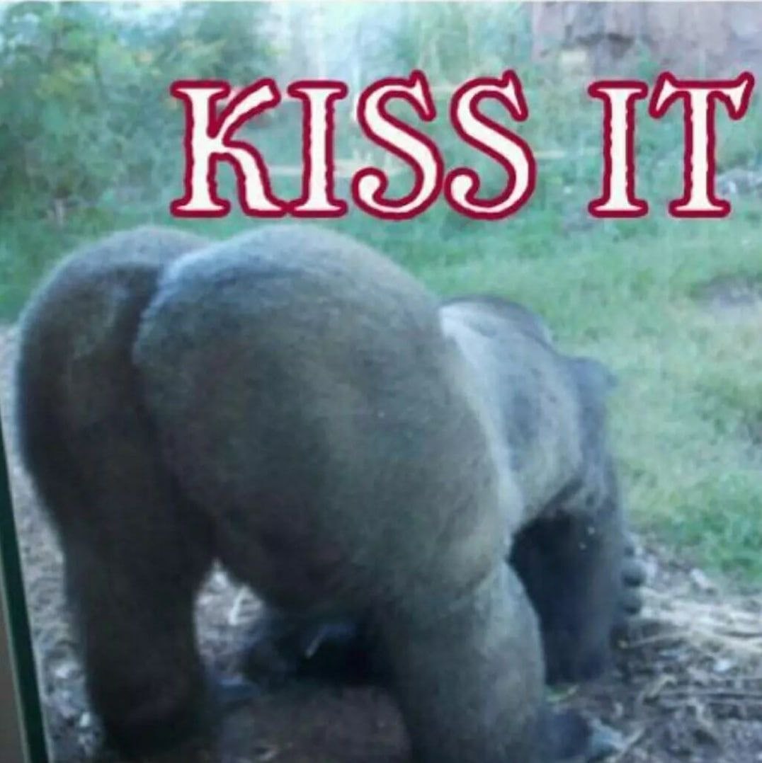 KISS