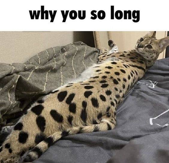 why you so long