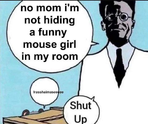 по тот not hiding a funny mouse girl in my room Shut Up