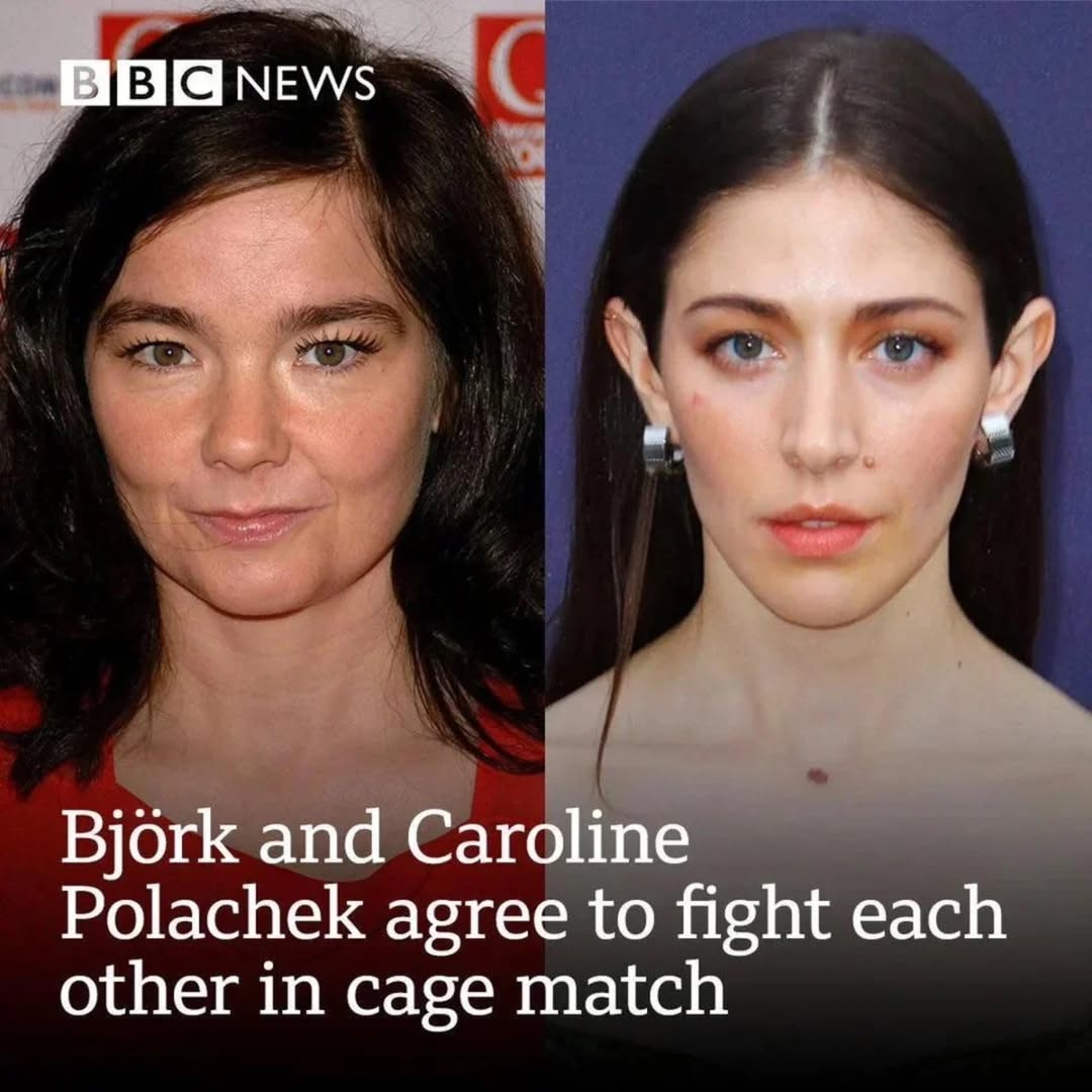 NEWS Вог! аэтее to fight each other in cage match