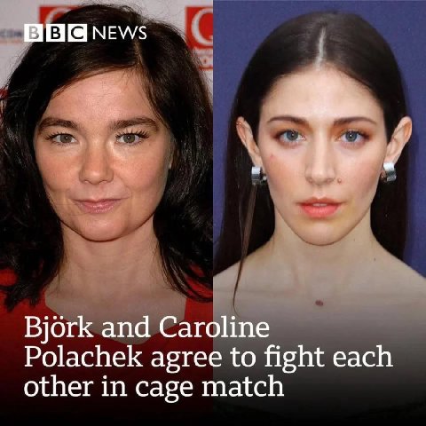NEWS Вог! аэтее to fight each other in cage match
