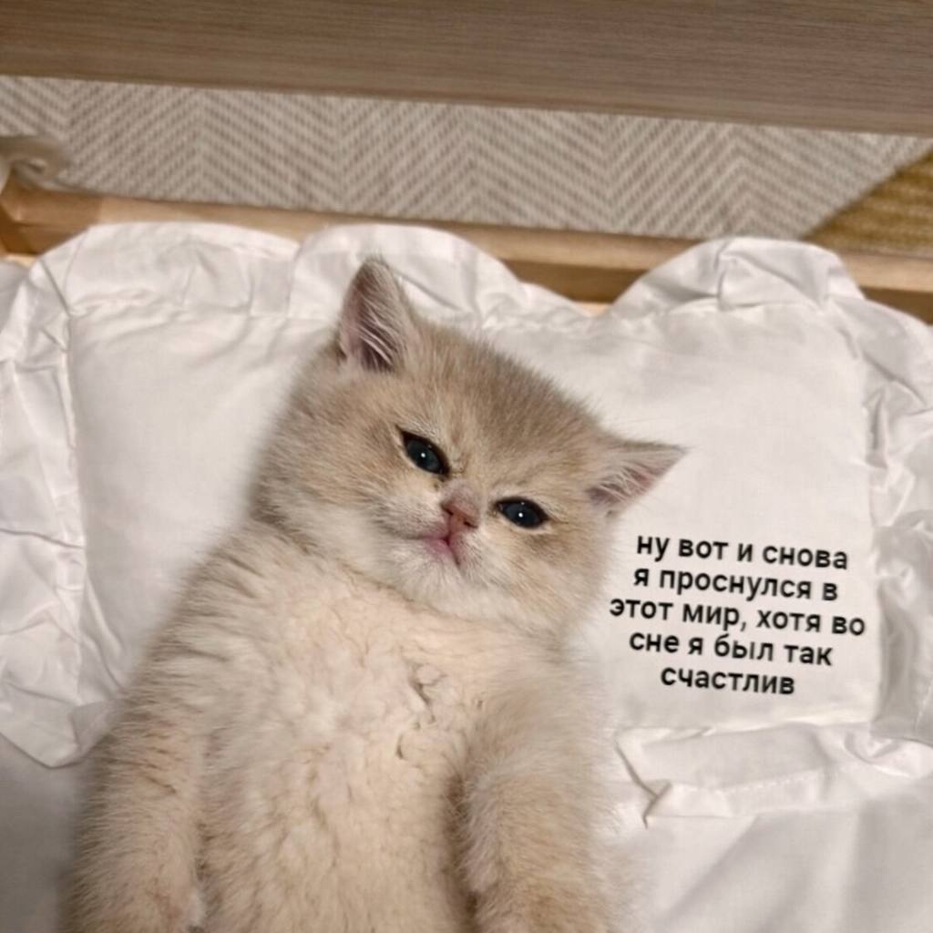 it НУ BOT и снова я проснулся в ЭТот Мир, хотя во CHE я был так счастлив