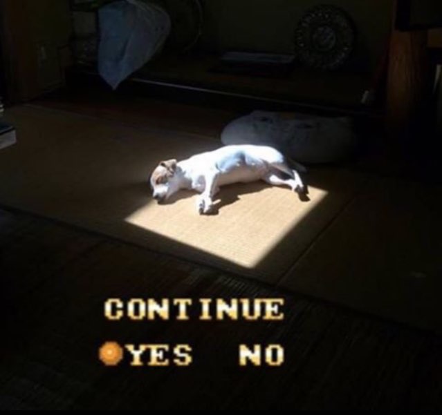 СОМТТЫНЕ "ТЕЗ НО