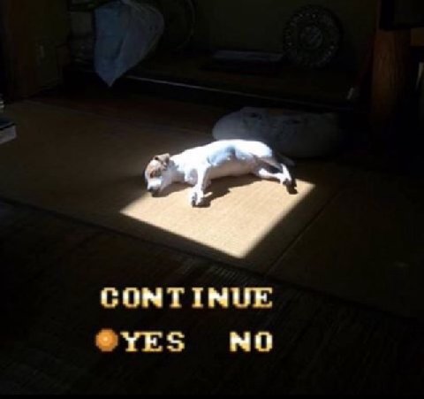 СОМТТЫНЕ "ТЕЗ НО