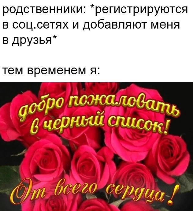 родственники: *регистрируются в соц.сетях и добавляют меня в друзья* тем временем я: сдро Pin