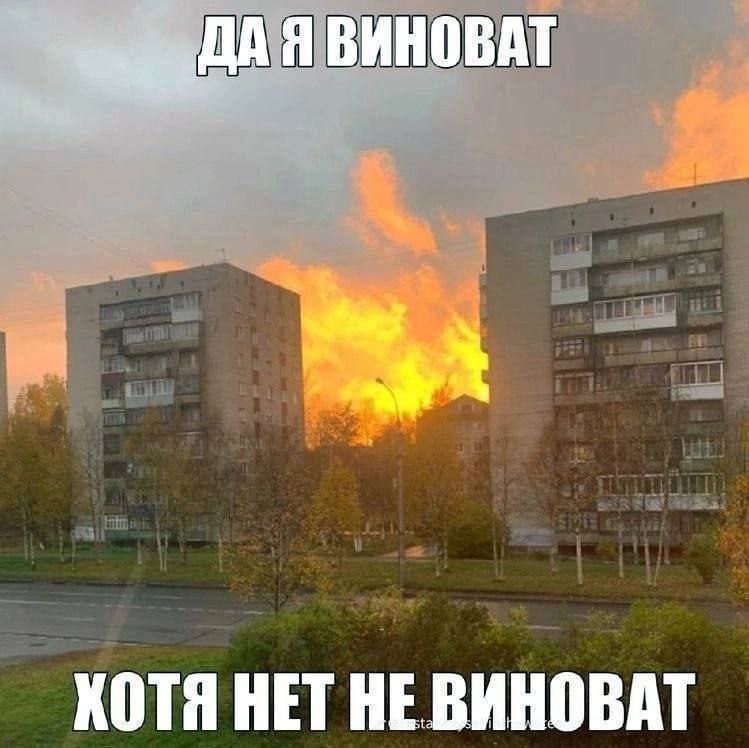 Я ВИНОВАТ КОТЯ НЕТ НЕ ВИНОВАТ