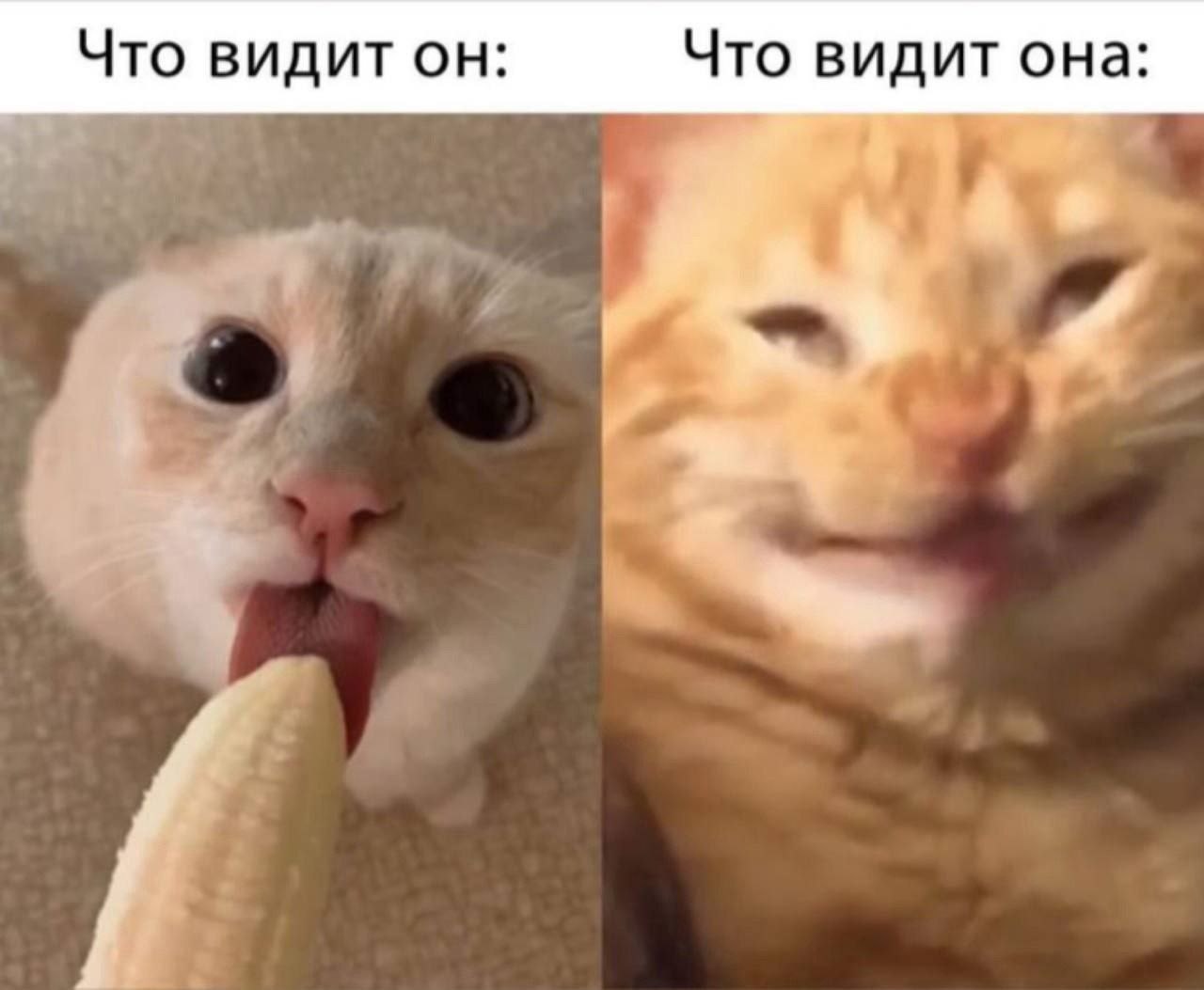 Что видит он Что видит она: