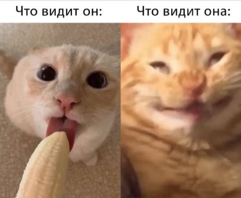 Что видит он Что видит она: