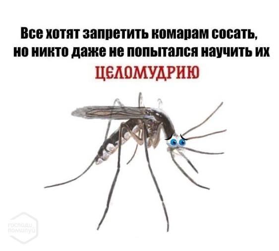 Все хотят запретить комарам сосать, никто даже не попытался научить