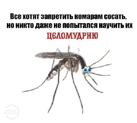 Все хотят запретить комарам сосать, никто даже не попытался научить