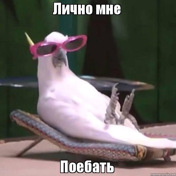 Лично мне Поебать