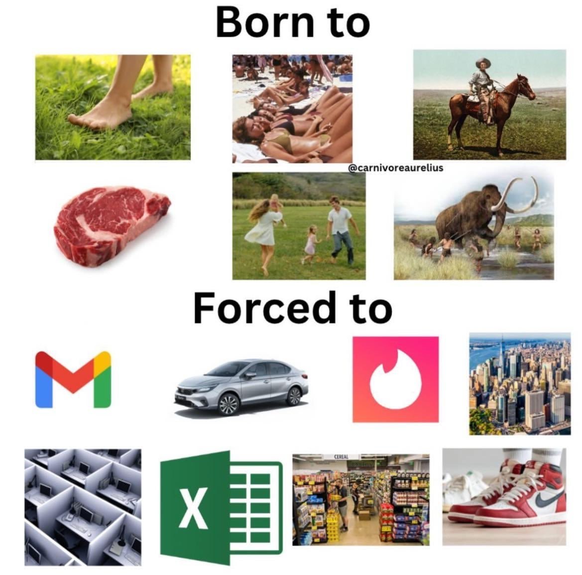 Born to i Forced to