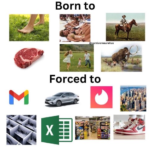 Born to i Forced to