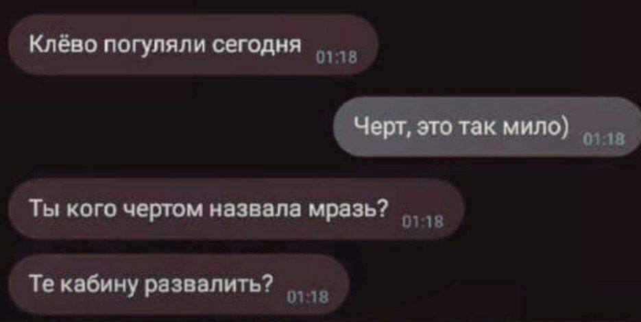 Клёво погуляли сегодня Черт, это так мило) Ты кого чертом назвала мразь? кабину развалить?
