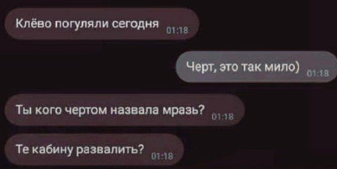 Клёво погуляли сегодня Черт, это так мило) Ты кого чертом назвала мразь? кабину развалить?