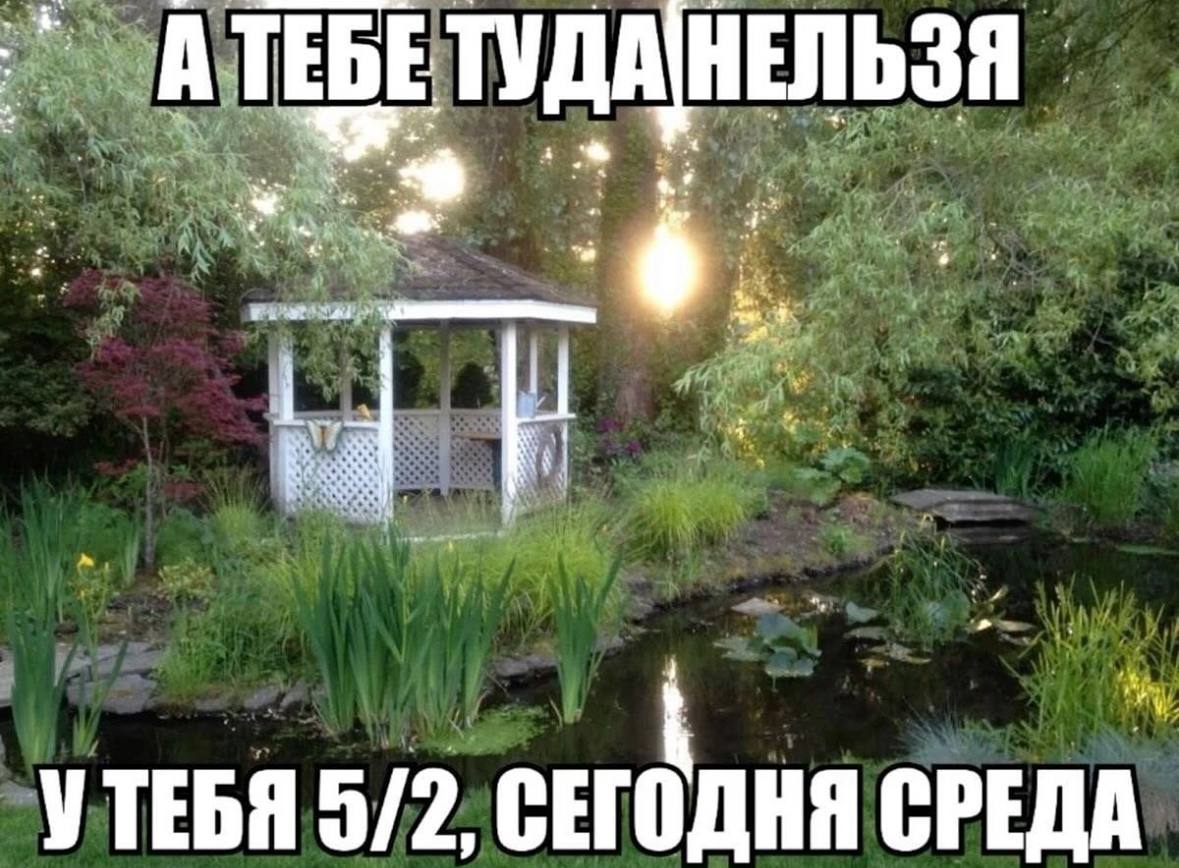 ЛЬЗЯ ТУДА HE 4 1% 21 У a4 УТЕБЯ 5/2; СЕГОДНЯ СРЕДА