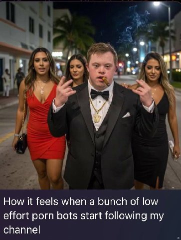 How К feels when а bunch of low effort porn bots start following my channel