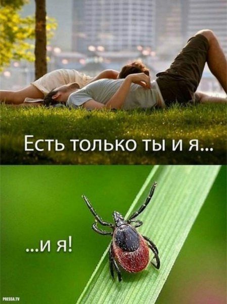Be 4 у Есть только ты и я... ...И Я РАЕЗЗА
