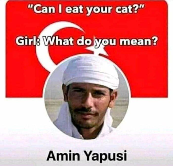 “Can eat your cat?” dojyou mean? Amin Yapusi