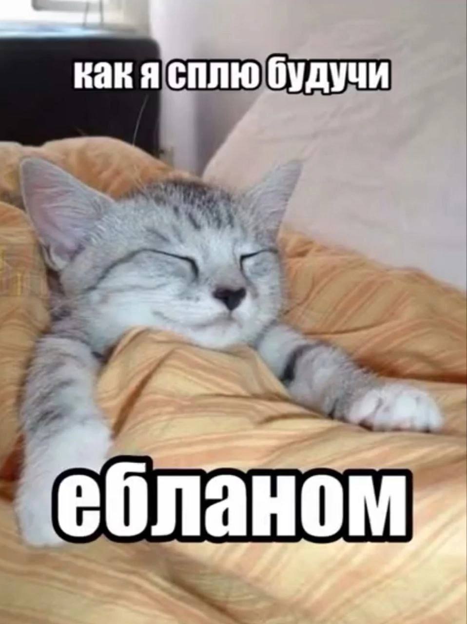 какя сплю будучи